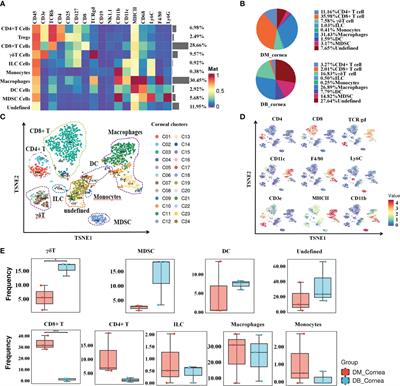 Mass cytometry reveals the corneal immune cell changes at single cell level in diabetic mice